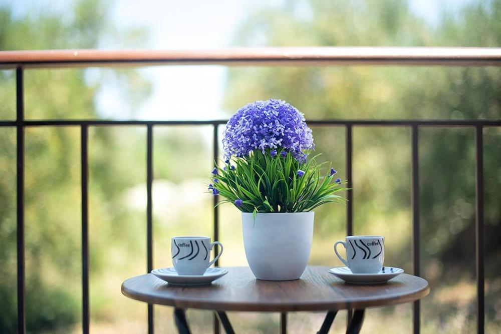 Valery Apartments بيفكوهوري المظهر الخارجي الصورة